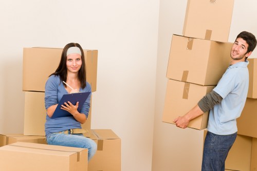 Apartment and flat removals in central Pimlico