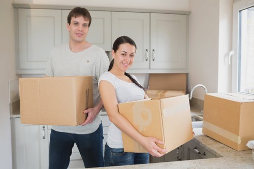 Careful packing and moving of household items in Pimlico