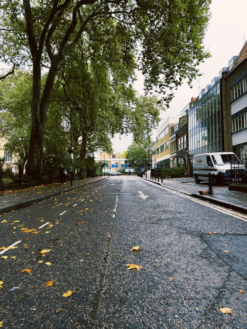 A quiet urban street scene during daytime showing a wet pavement with scattered fallen yellow leaves, flanked by tall leafy trees on the left and modern multi-storey office buildings on the right. A white van is parked on the street near the curb, and there are black metal bollards separating the sidewalk from the roadway. The background features additional trees and buildings, with overcast sky overhead. This environment depicts a typical setting for home relocation or furniture transport, consistent with moving services offered by Man With a Van Pimlico in the context of a house removal or packing and moving process.